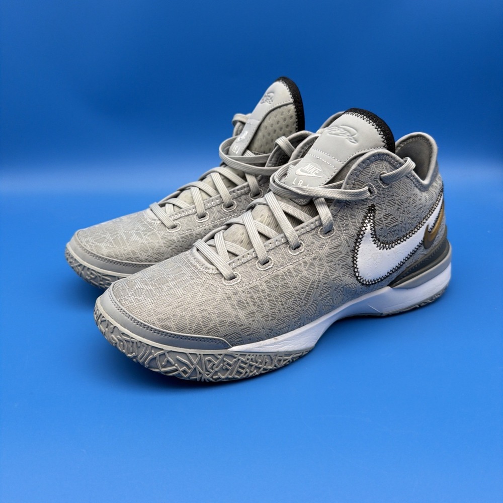 Nike Zoom LeBron NXXT Gen Wolf Grey Mens Size 11.5  DR8784-004